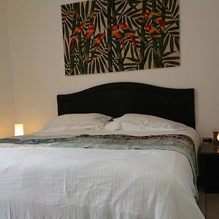 Surf Lookout - King Size En-Suite With Sea Views New Quay Екстериор снимка
